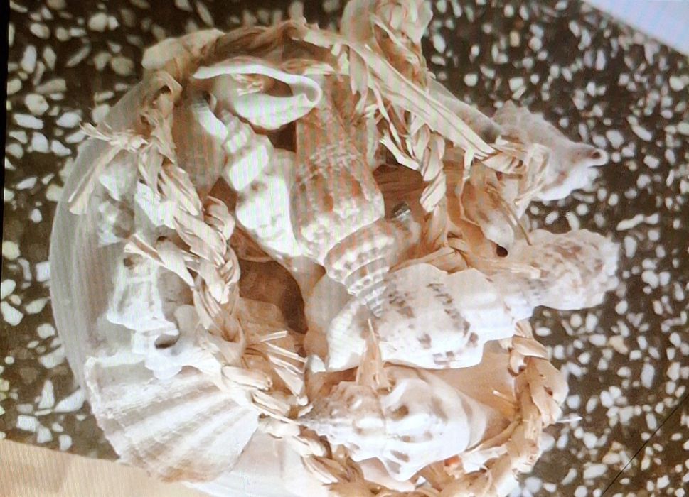 Muszelki do akwarium