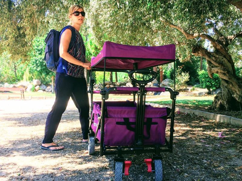 Wózek wielofunkcyjny składany Fuxtec ct700 2w1