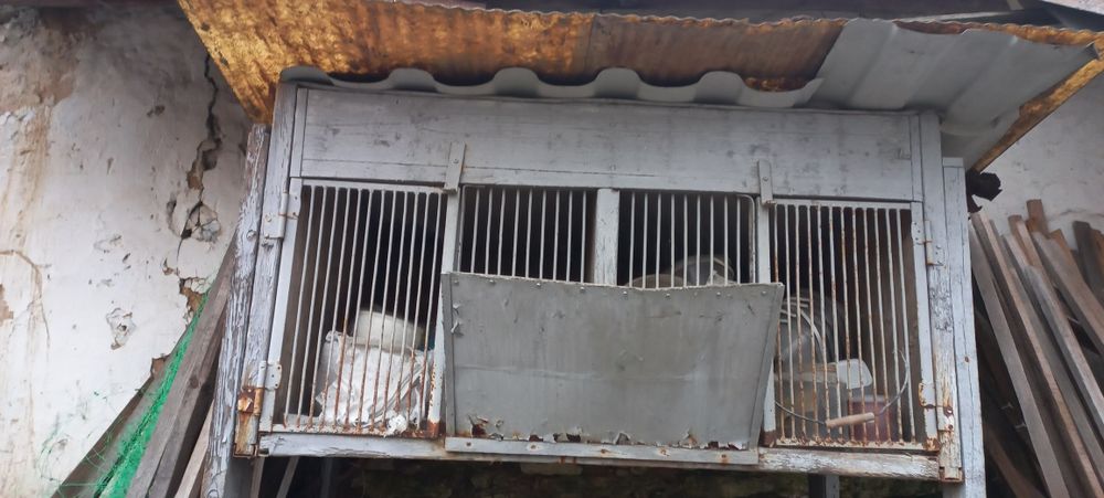 Продам клітку для кролів