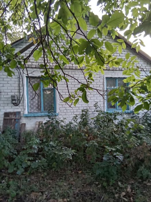 Дом с земельным участком