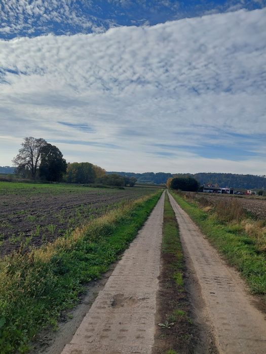 Działka Budowlana Nad Wisłą - Widok 2