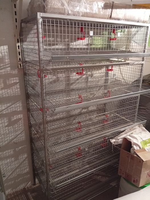 Клітка для перепілок несушок