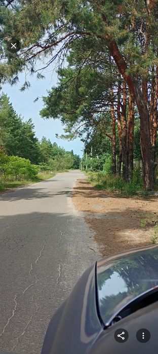 Ділянка в лісі на березі каналу річки Дніпро в 10 км.від центра Вишгорода