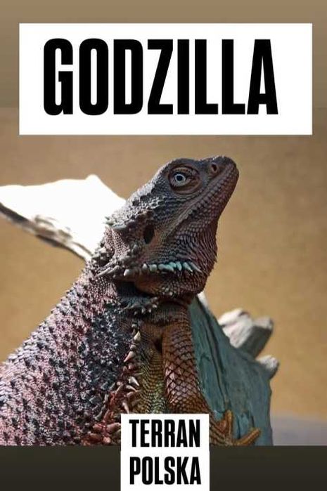 Dark Red monster 100%  het trans agama brodata