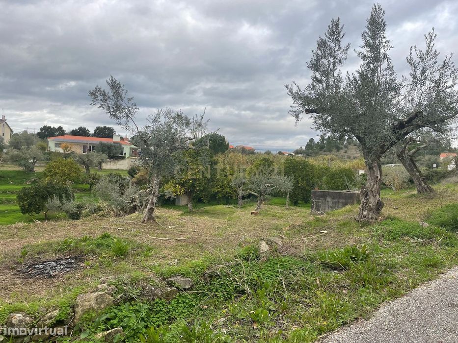 Terreno em Martinchel, Abrantes