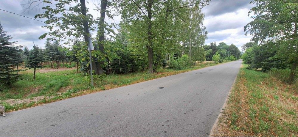 Działka budowlana lub rekreacyjna - Widok 4