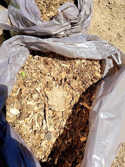 Obornik, koński nawóz