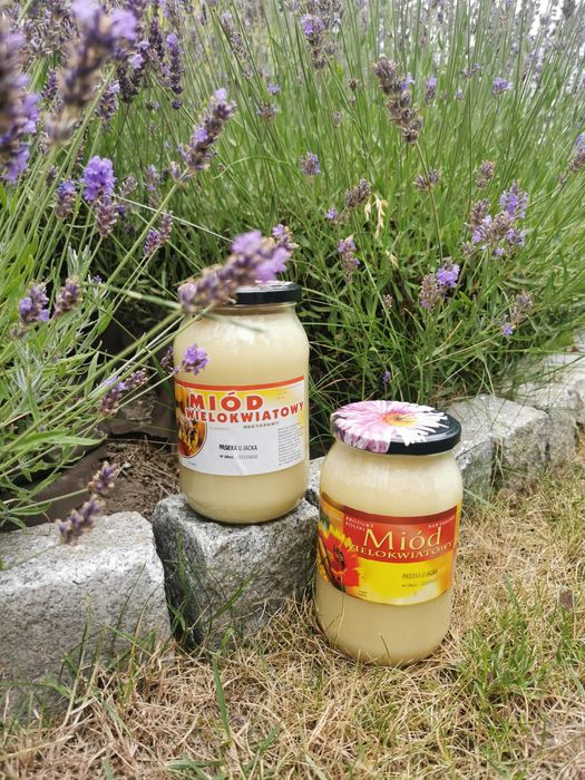 Miód z rodzinnej pasieki