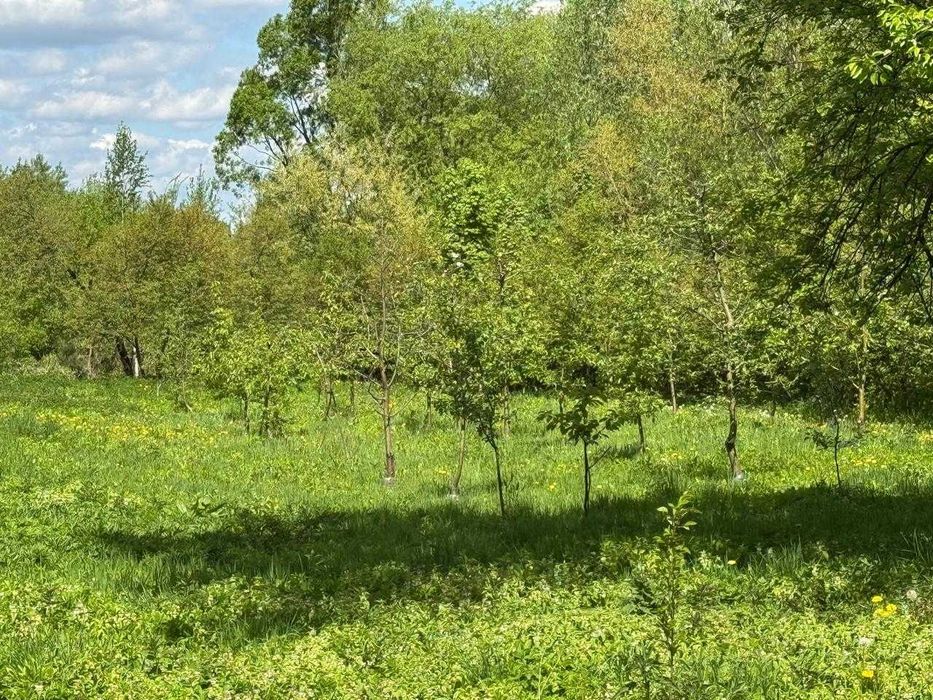 Продається земельна ділянка 31,13 сотих у місті Мостиська