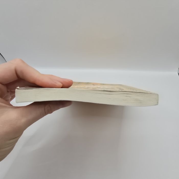 Paulo Coelho – Manual del guerrero de la luz książka po hiszpańsku