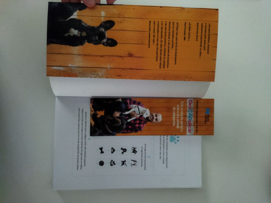 Livro "desCAOplicar"