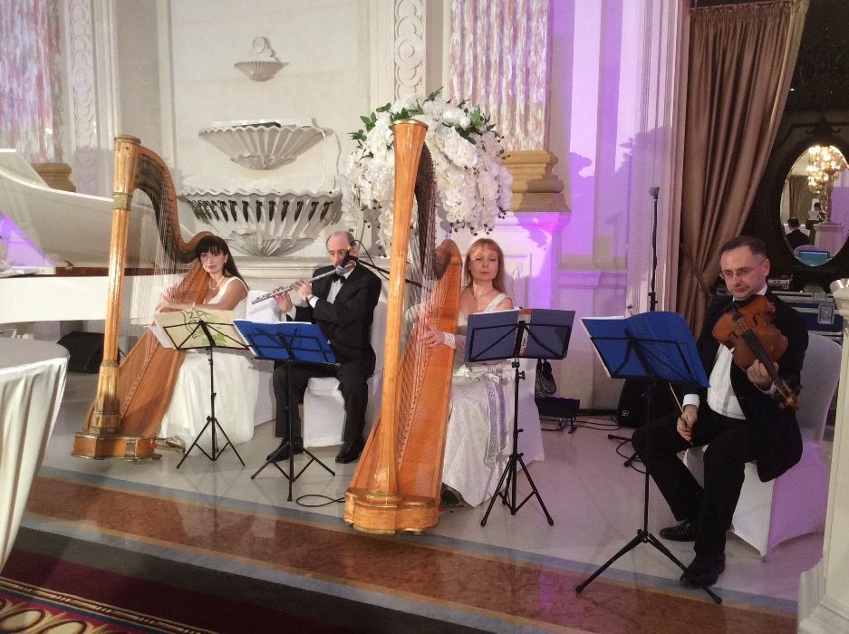 арфа. арфистка, Музыка на свадьбе.