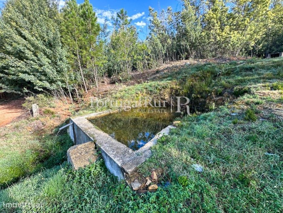 Quintinha de 20 hectares