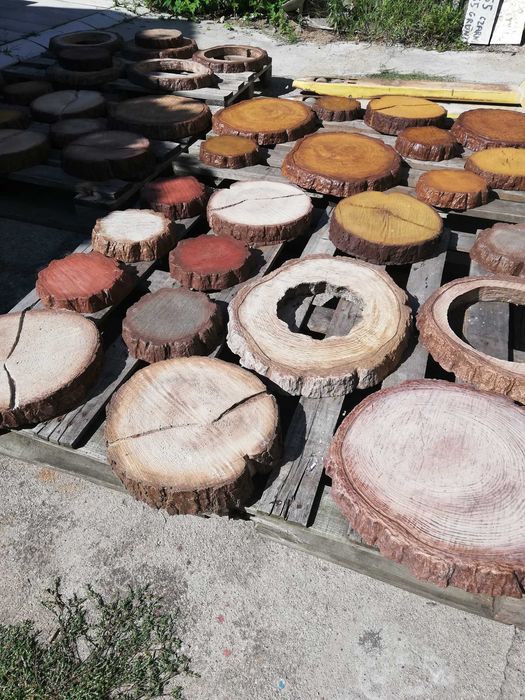 Pieńki drewnopodobne z betonu