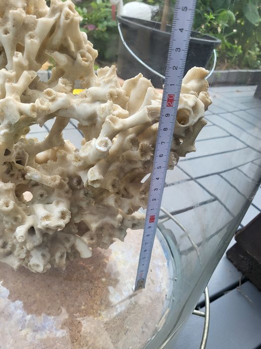 NOWA NIŻSZA CENA Akwarium tuba 70 cm