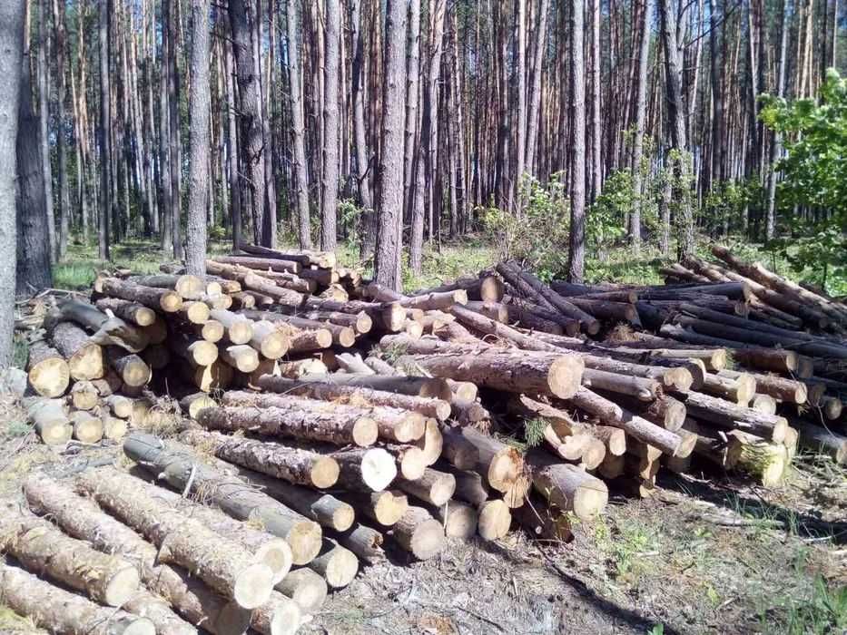 Чорнозем, Дрова ДУБ, ГРАБ, ЯСЕН  СОСНА ТОПОЛЬ колоті метрівка Градизьк