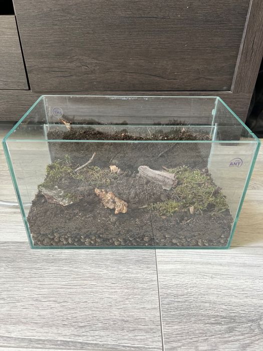 Formikarium dla mrówek + gniazdo