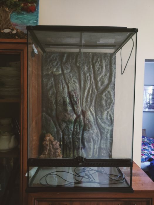 Duże terrarium Terra z wyposażeniem