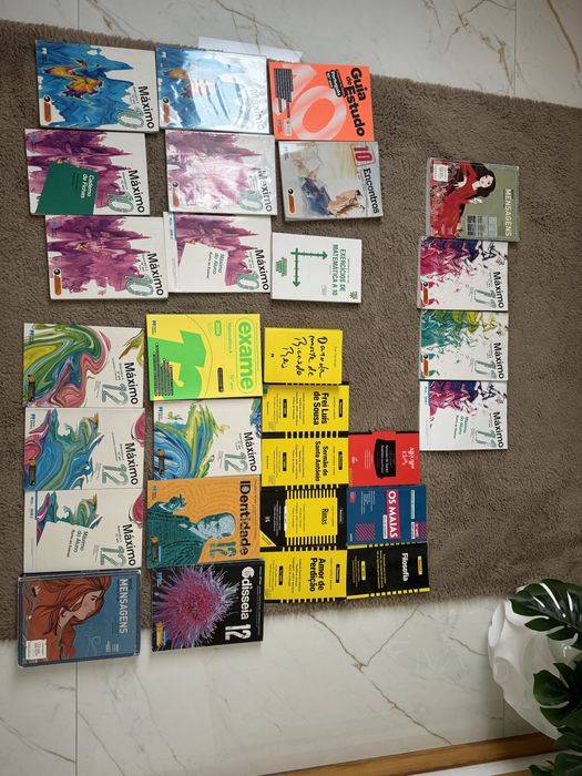 Livros escolares 10 ano 11 ano 12 ano