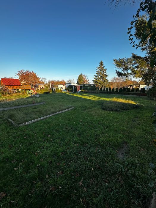 Działka ROD blisko morza Mrzeżyno 500m2/1000m2