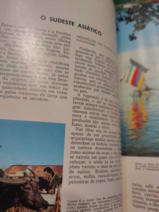 Novo Tesouro da Juventude