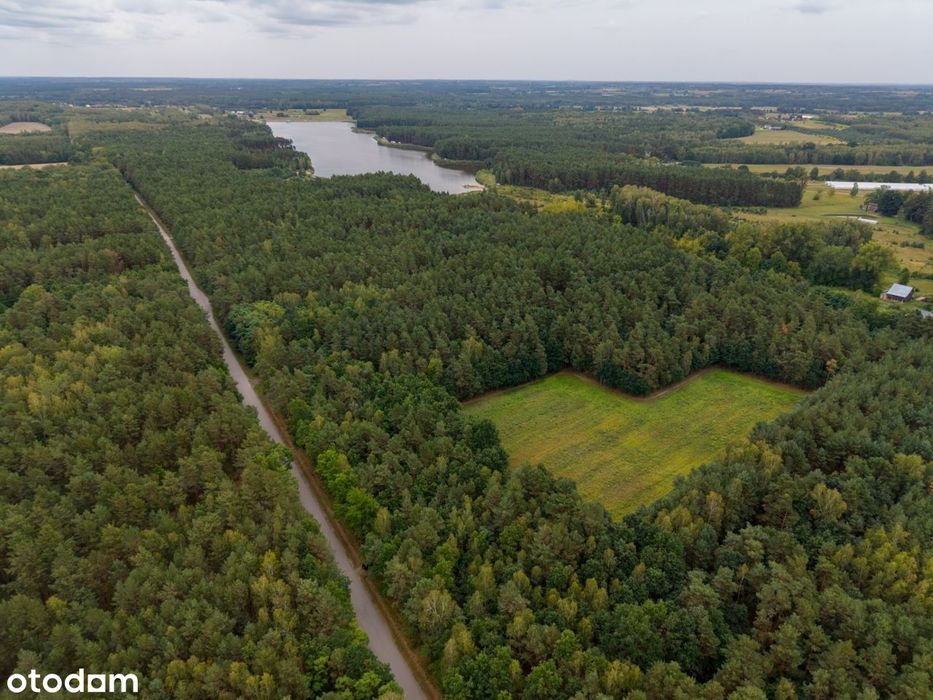 Otulona lasem – wyjątkowa działka 1,35 ha