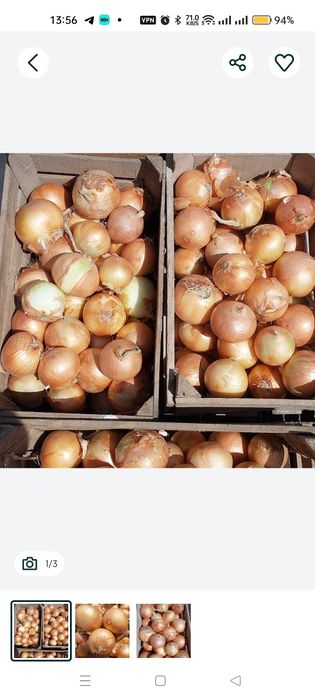 Sweet white onion64730007219459121