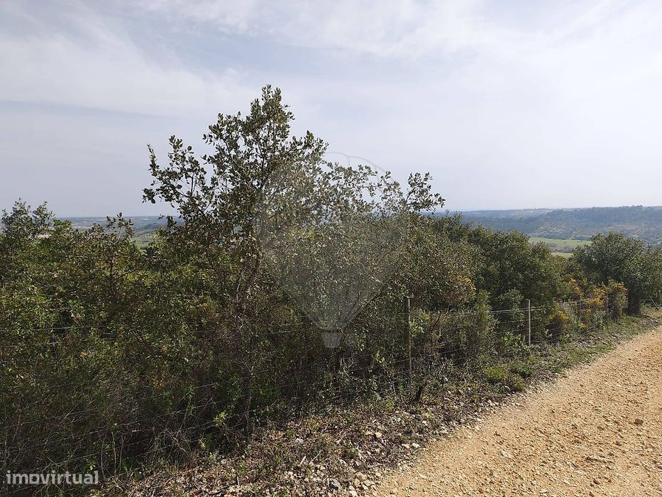 Terreno  para venda