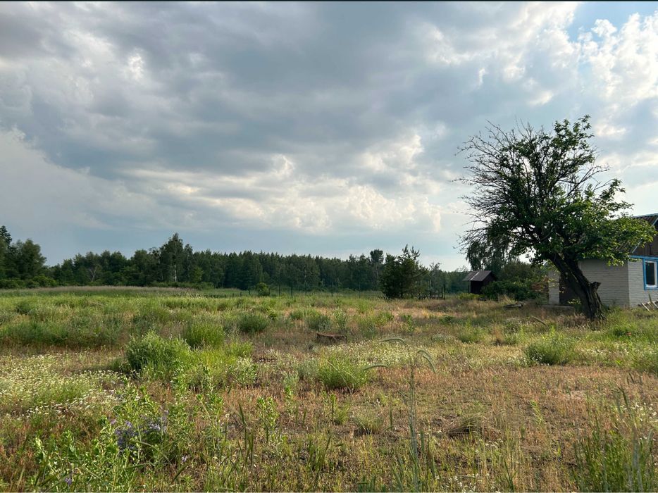 Ділянка зі своїм озером,електрикою,асфальтований заїзд, пряма дорога до Києва 25км