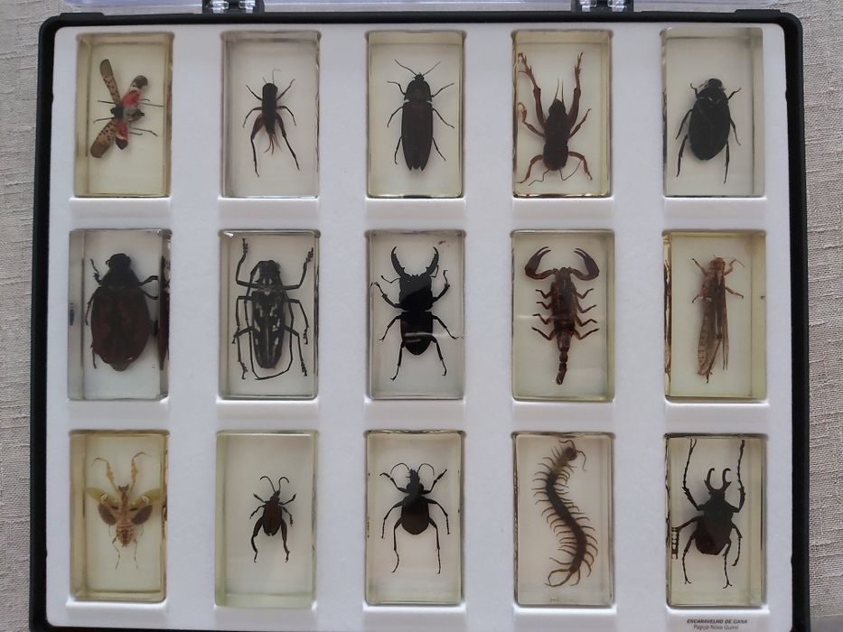 Coleção Dos Bichos(2 caixas completas e uma semi)