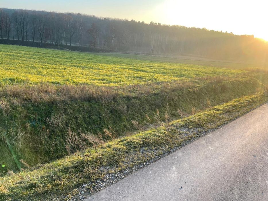 Dzialka rolna 74 ary Poradów