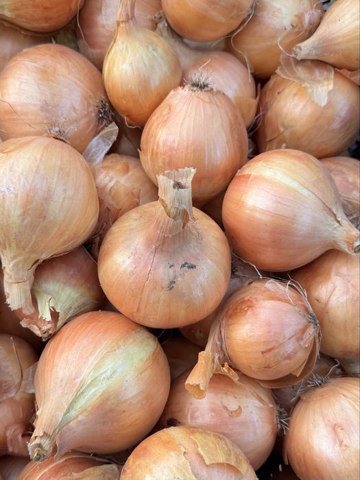 Продам домашню цибулю вирощену без хімії