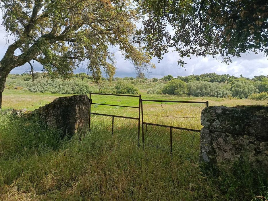 Terreno Ideal para Refúgio de Campo, 7 hectares , Nisa