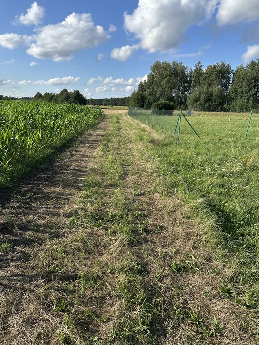 Działki budowlane na sprzedaż Świniary Borowna - View 5