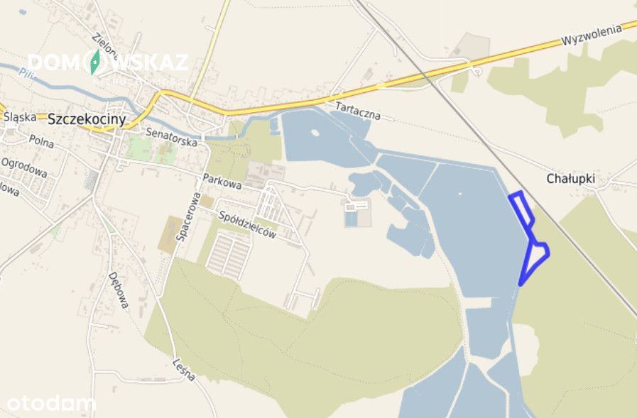 Petarda Inwestycyjna Nad Pilicą! Ponad 10 Hektarów - Widok 4