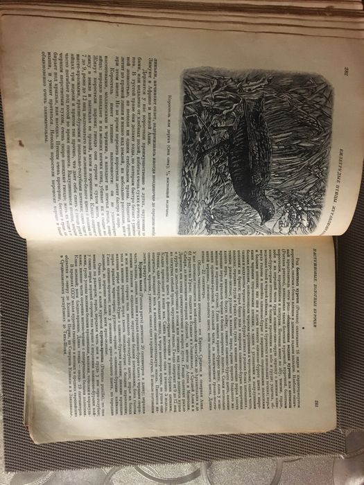Книги жизнь животных  Брема .