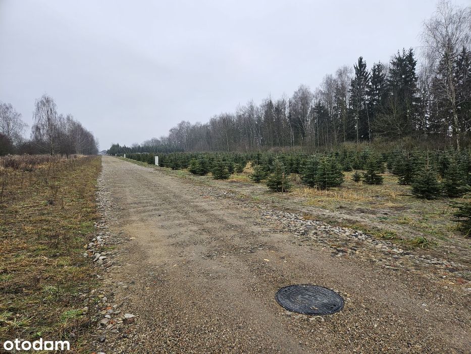 Działka budowlana o powierzchni 1141 m²