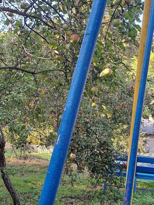 Продається  будинок