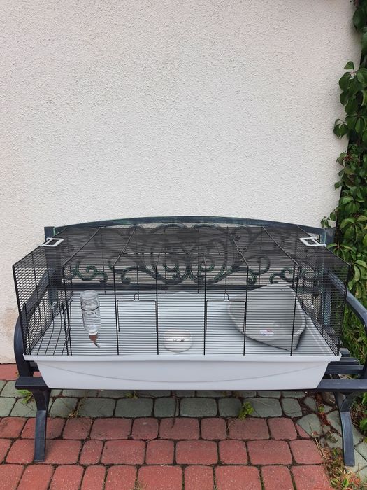 Króliki baranek miniaturka  mini lop , Cena CAŁKOWITA.