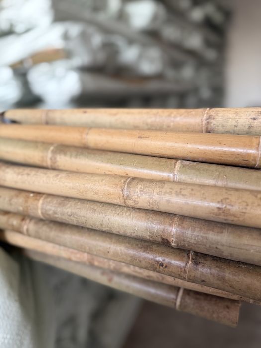 Tyczka bambusowa sadownicza dł. 295 cm śr. 26/28 mm, bambus, tyczki