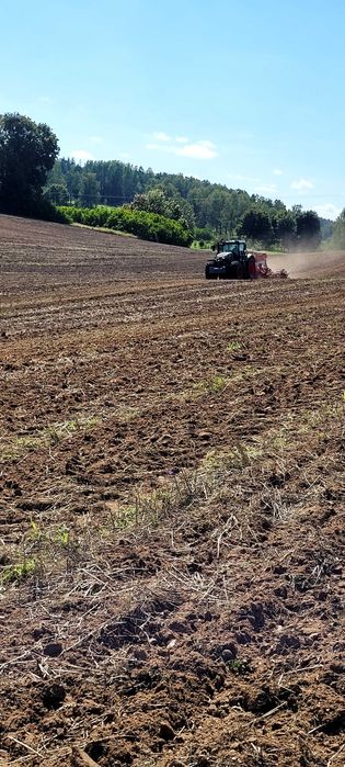 Usługi rolnicze,siew , wywóz obornika,wapna, orka , zbior zbóż , omłot