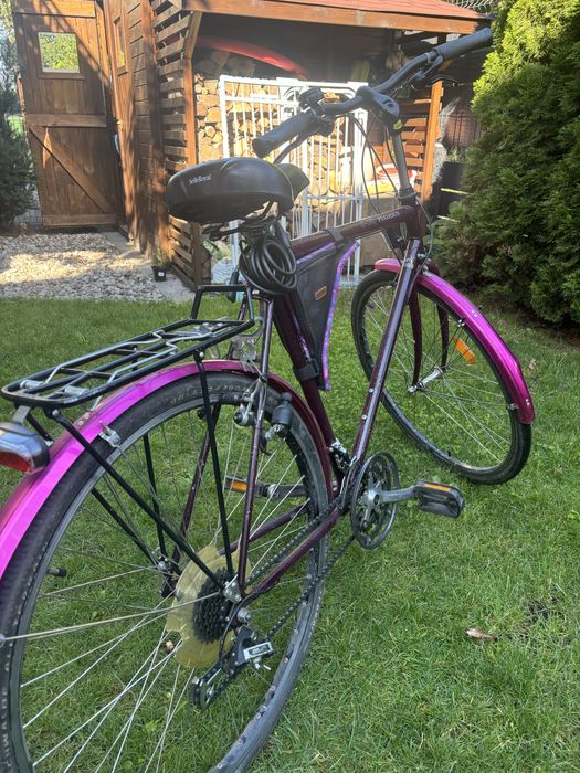 Rower Pegasus uniwersalny 28 C