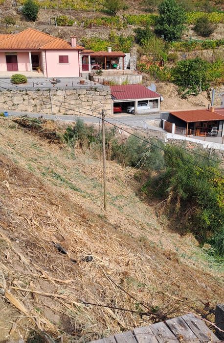 Terreno Loivos da Ribeira Baião