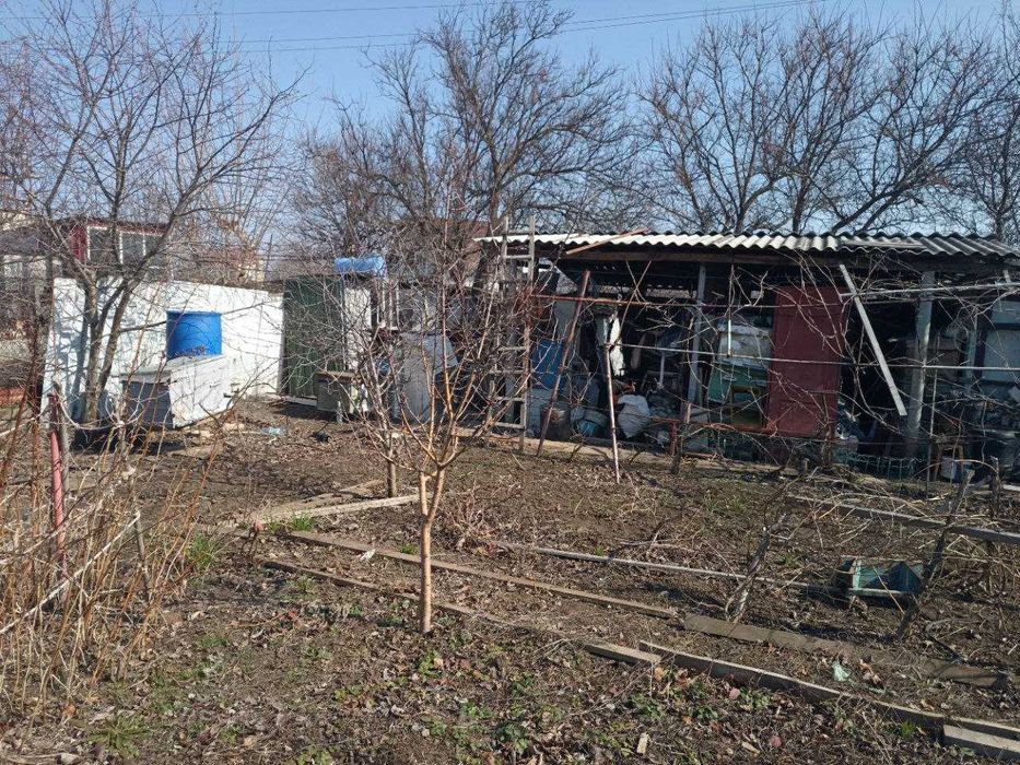 Дача возле леса Алтестово