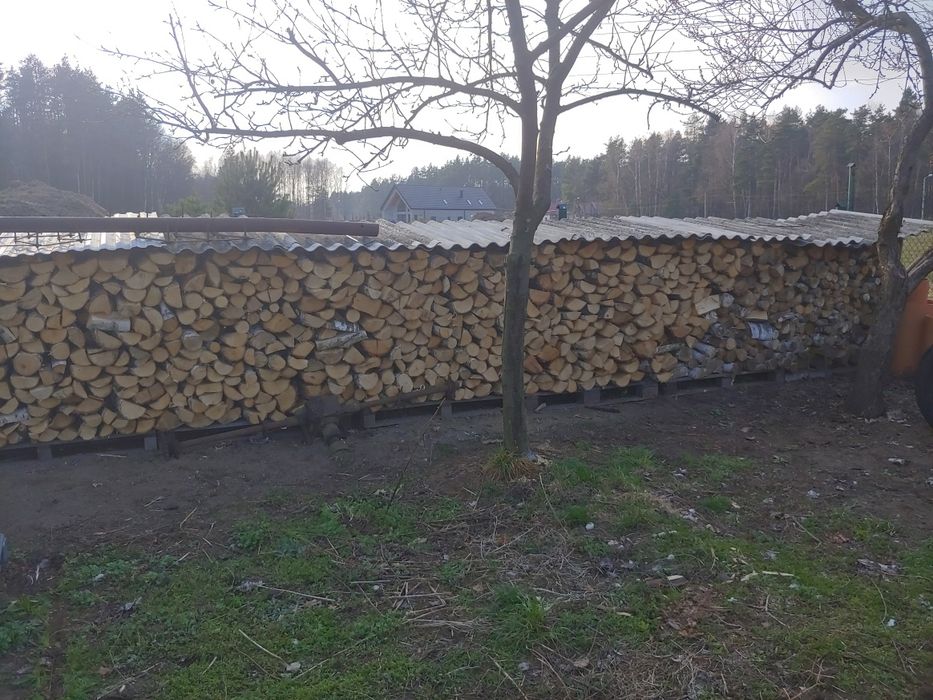drewno kominkowe i opałowe