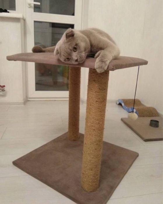 Drapak z dużą platformą – stabilny, dla dużych kotów