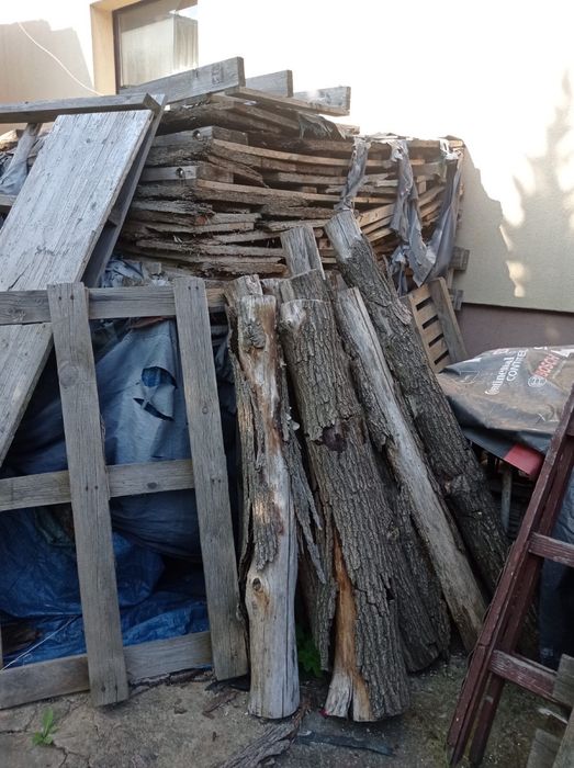 Drzewo i płyty oddam za darmo