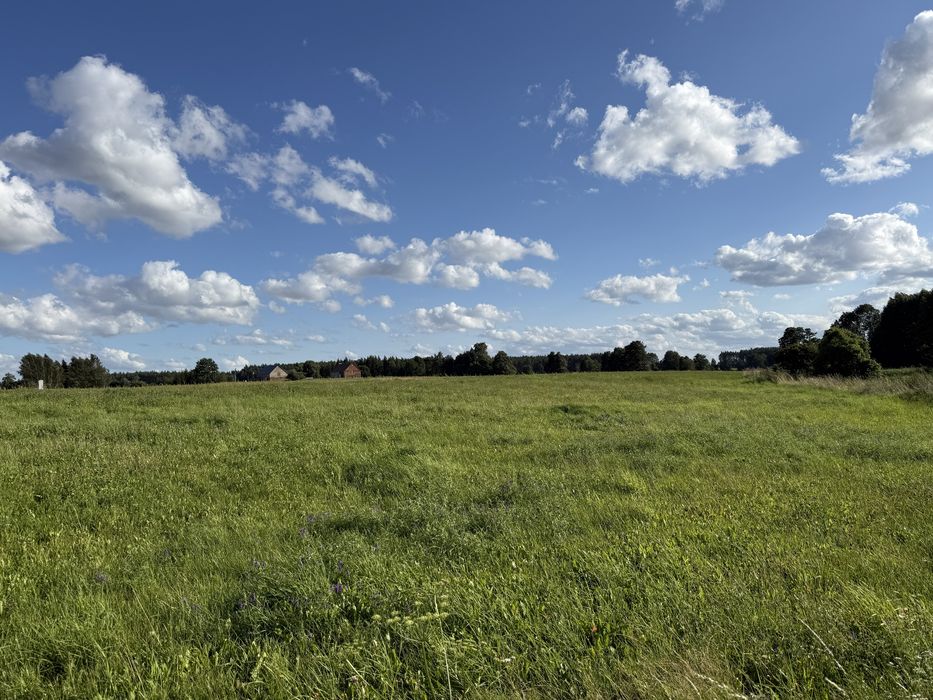 Działka budowlana / warunki zabudowy / prąd