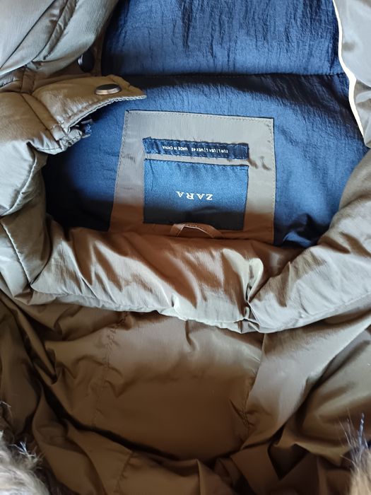 Kispo comprido verde