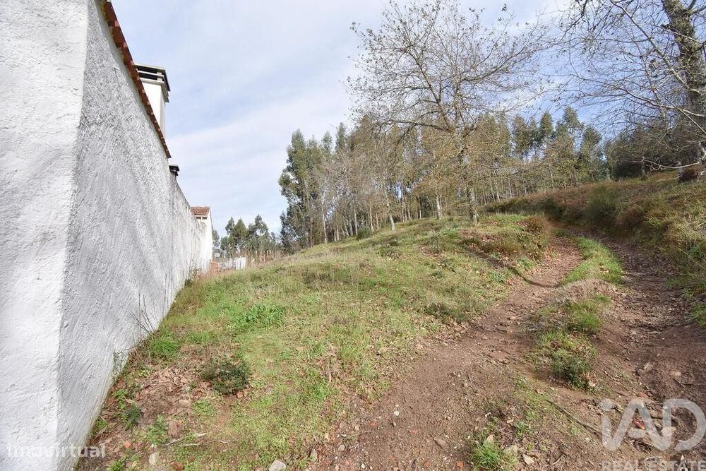 Terreno para construção em Espinhal